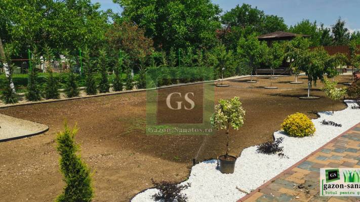 Amenajare curte Fata+Spate