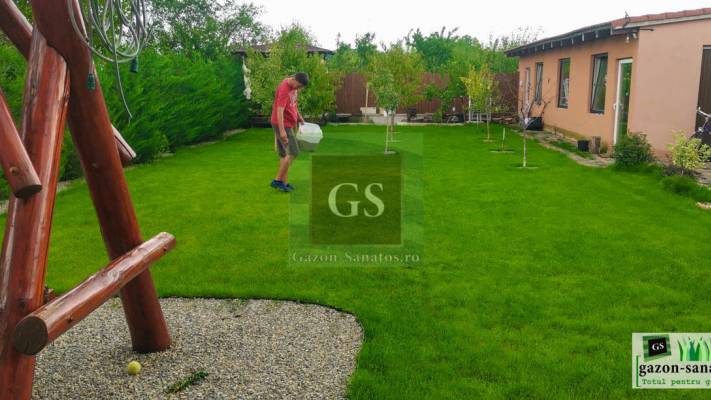 Amenajare curte Fata+Spate