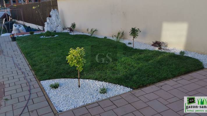 Amenajare curte 80mp