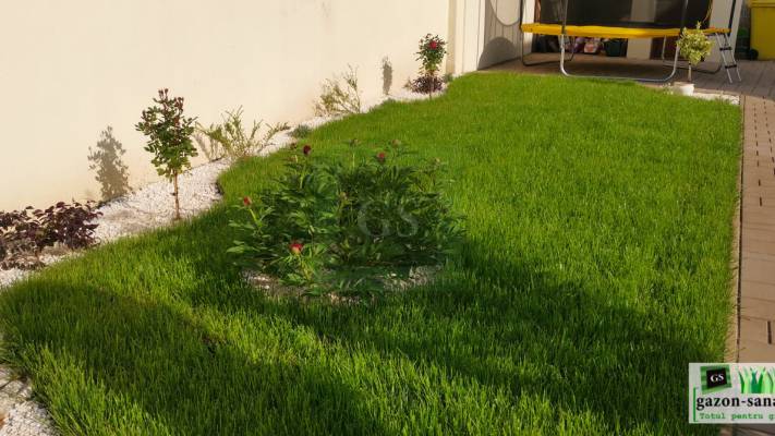 Amenajare curte 80mp