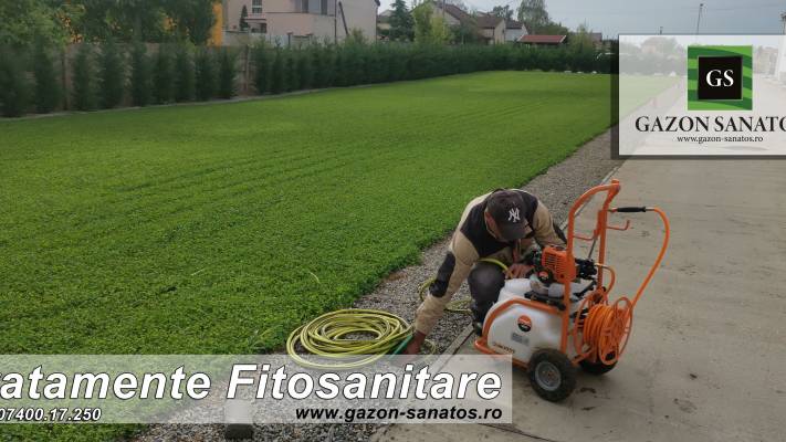 Mentenanta Spatii Verzi