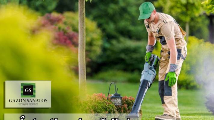 Mentenanta Spatii Verzi