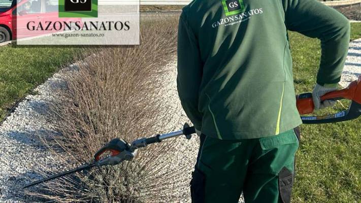 Mentenanta Spatii Verzi