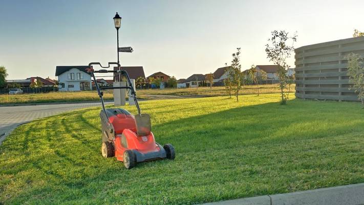 Mentenanta Spatii Verzi