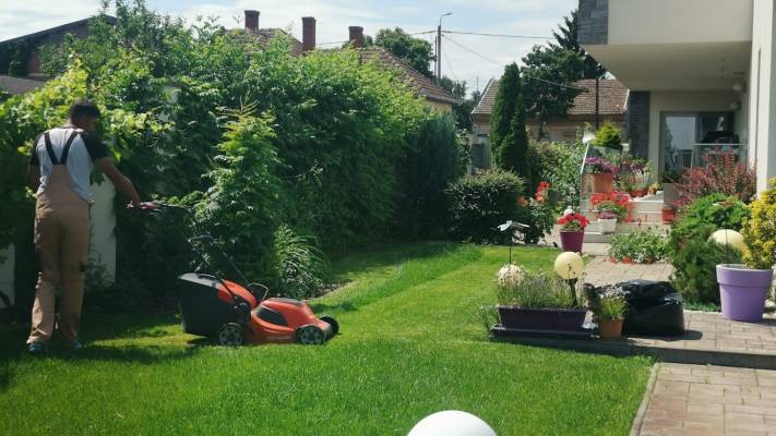 Mentenanta Spatii Verzi