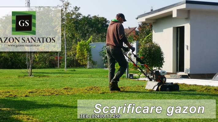 Mentenanta Spatii Verzi