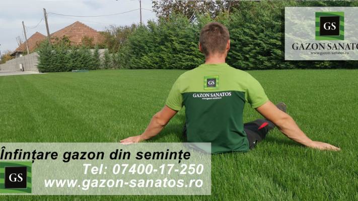 Mentenanta Spatii Verzi