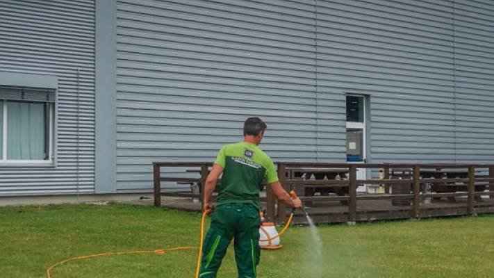 Mentenanta Spatii Verzi