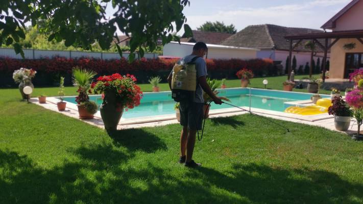 Mentenanta Spatii Verzi