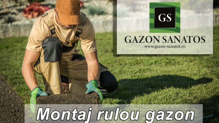 Mentenanta Spatii Verzi