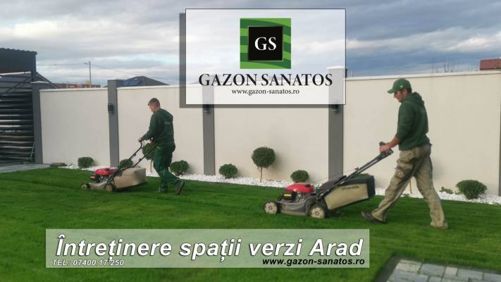 Mentenanta Spatii Verzi