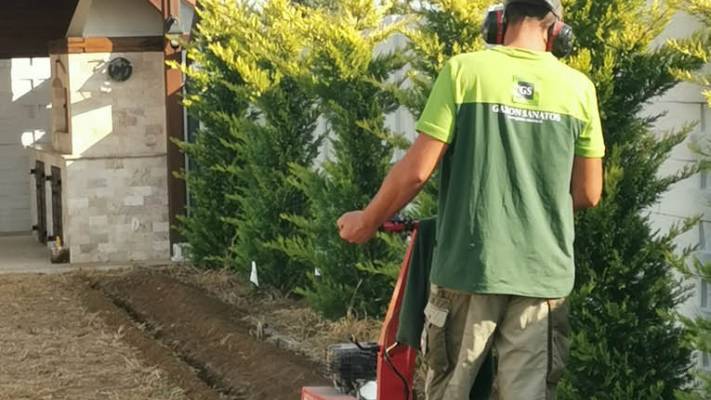 Mentenanta Spatii Verzi