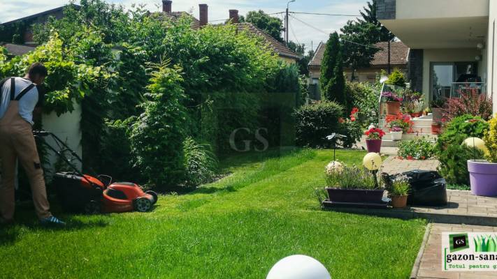 Mentenanta Spatii Verzi