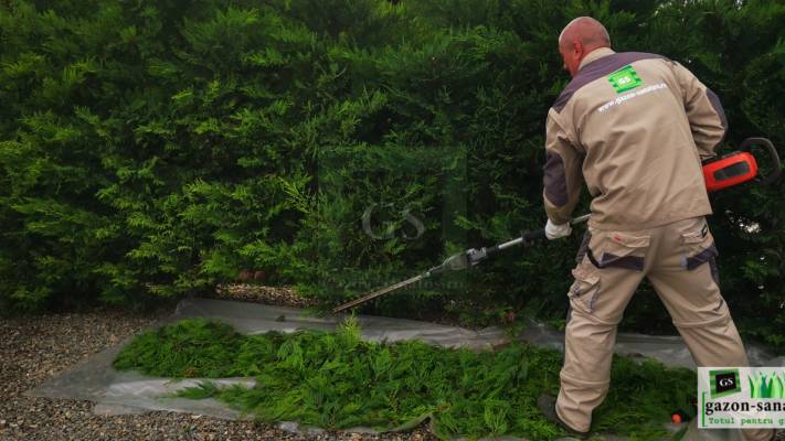 Mentenanta Spatii Verzi