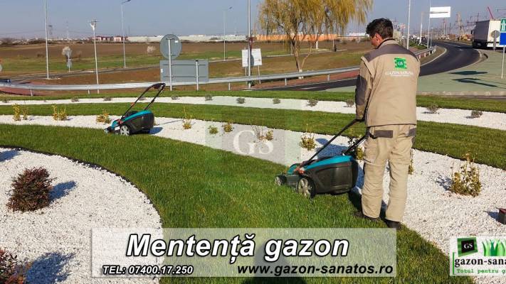 Mentenanta Spatii Verzi