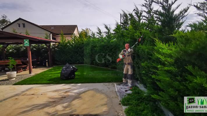 Mentenanta Spatii Verzi