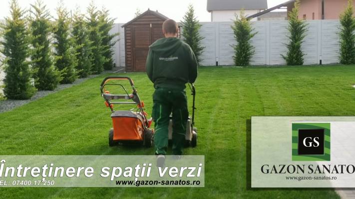 Mentenanta Spatii Verzi