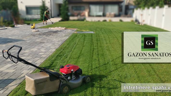 Mentenanta Spatii Verzi