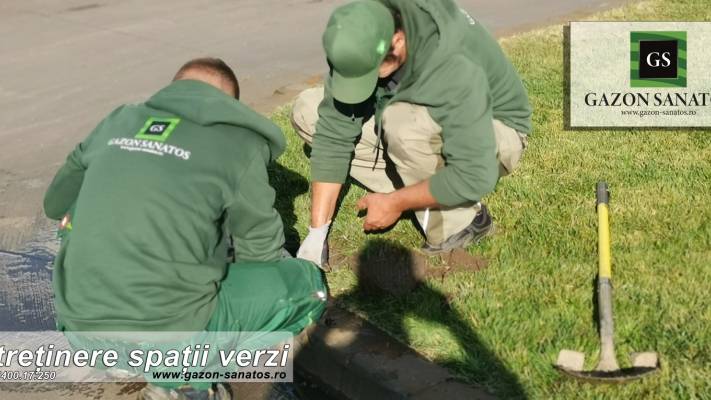 Mentenanta Spatii Verzi