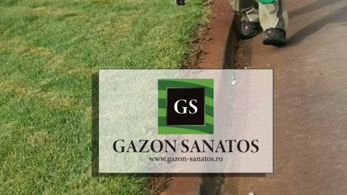 Mentenanta Spatii Verzi