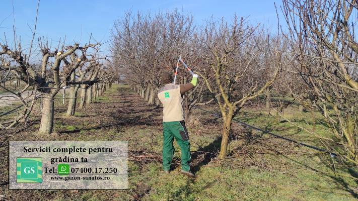 Mentenanta Spatii Verzi