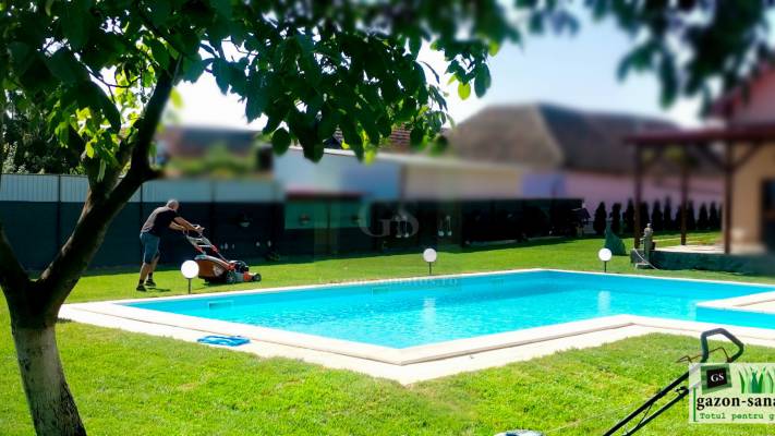 Mentenanta Spatii Verzi