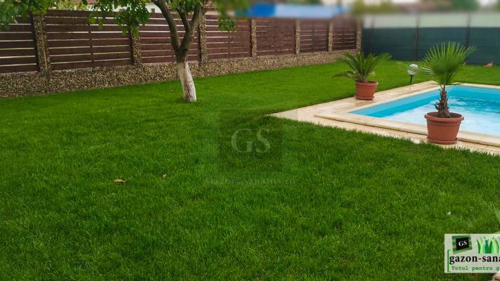 Mentenanta Spatii Verzi