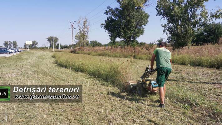 Mentenanta Spatii Verzi