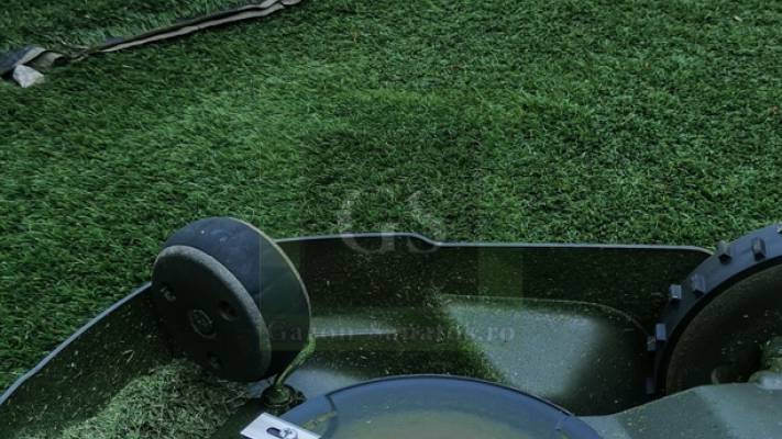 Mentenanta Spatii Verzi