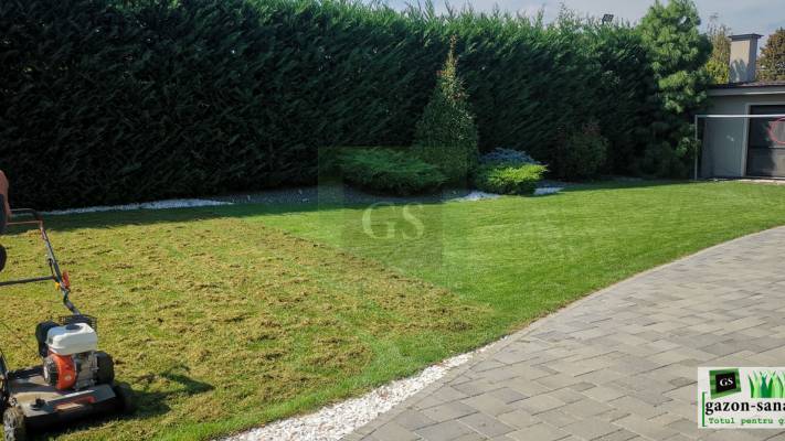 Mentenanta Spatii Verzi