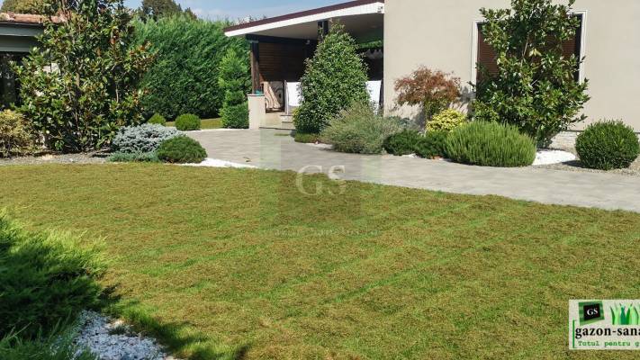 Mentenanta Spatii Verzi