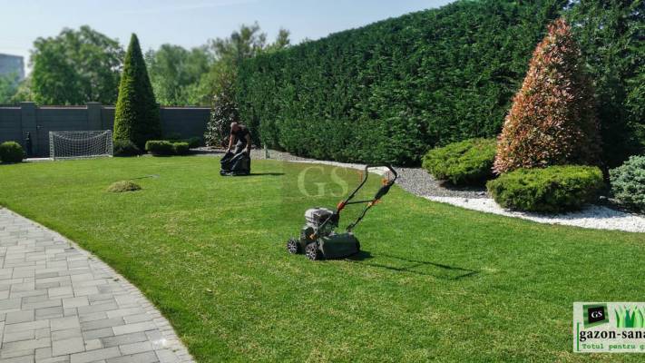 Mentenanta Spatii Verzi