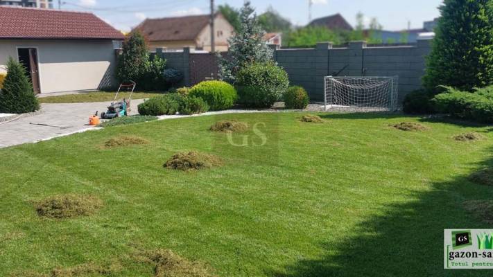 Mentenanta Spatii Verzi