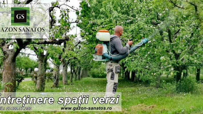 Mentenanta Spatii Verzi