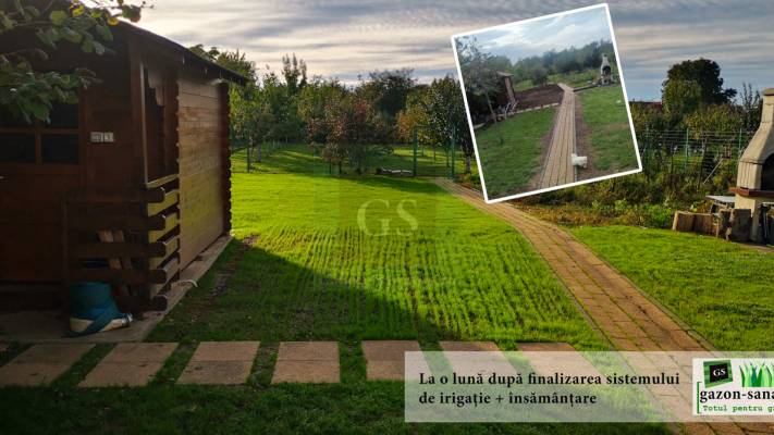 Amenajare Curte Fata + Spate 400 mp