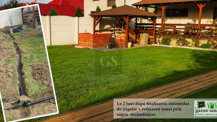 Amenajare Curte Fata + Spate 400 mp