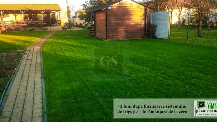 Amenajare Curte Fata + Spate 400 mp