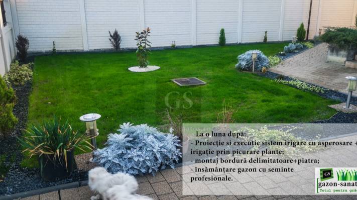 Amenajare Curte Fata + Spate 400 mp