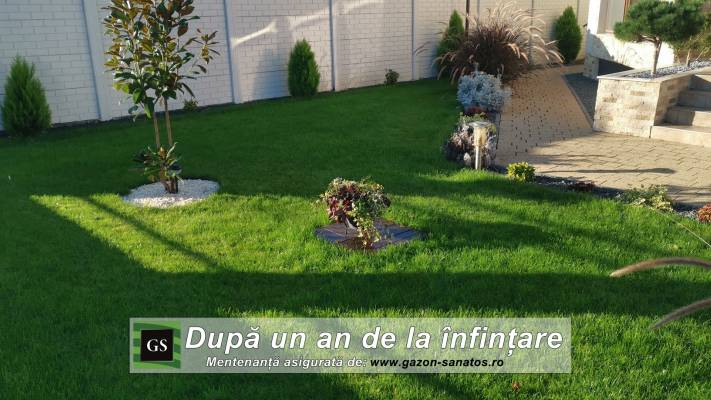 Amenajare Curte Fata + Spate 400 mp