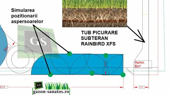 Amenajare curte 120mp
