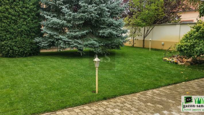 Amenajare curte 120mp