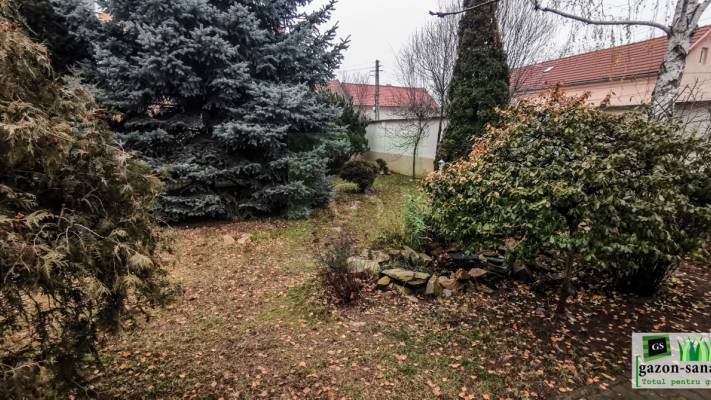 Amenajare curte 120mp