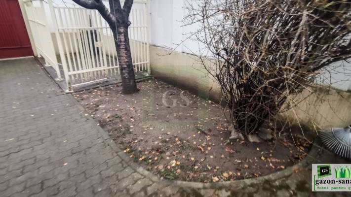 Amenajare curte 120mp