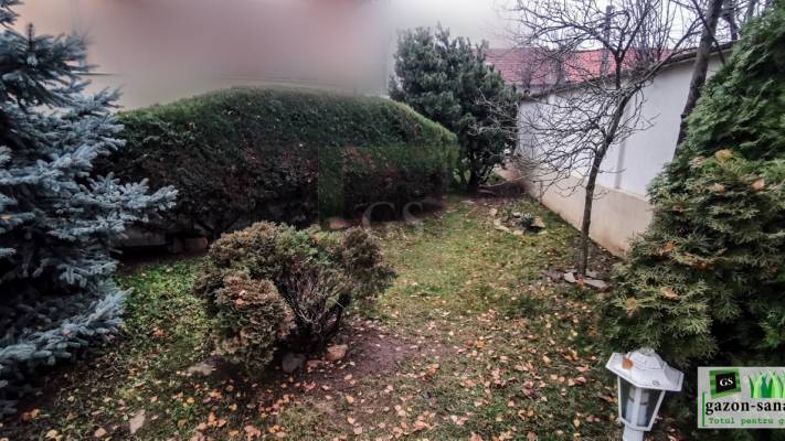 Amenajare curte 120mp