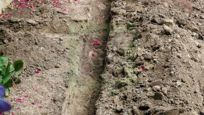 Amenajare curte 120mp