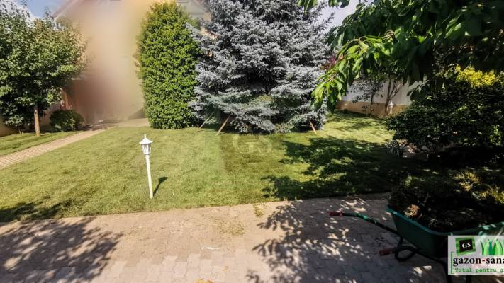 Amenajare curte 120mp