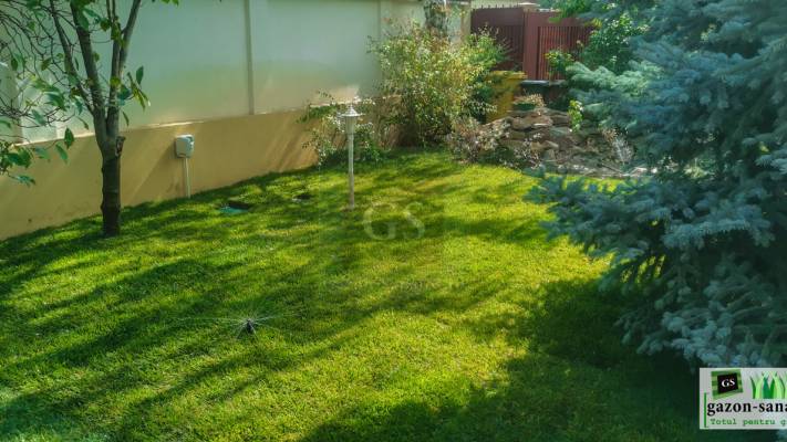 Amenajare curte 120mp