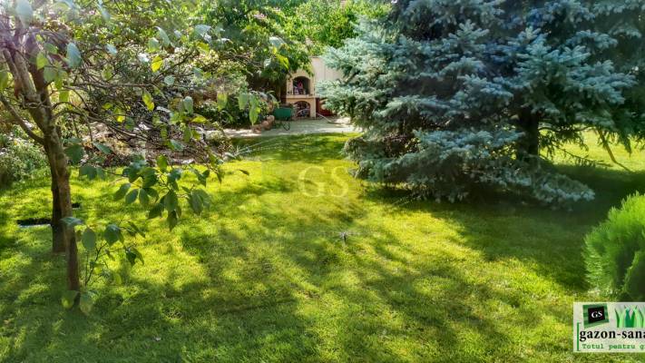 Amenajare curte 120mp