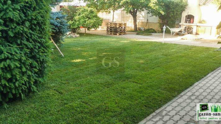 Amenajare curte 120mp