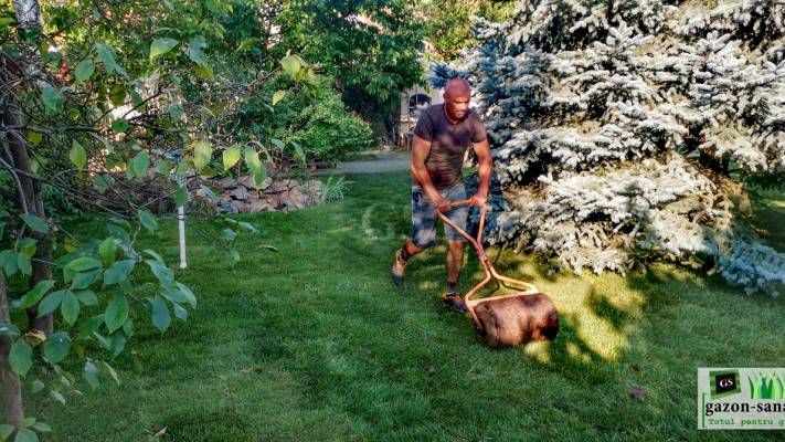 Amenajare curte 120mp